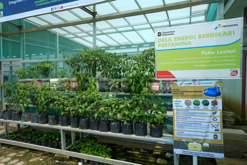 pertamina-patra-niaga-regional-jbb-raih-rekor-muri-berkat-program-tukar-jerami-scx.jpeg