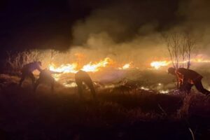 omc-terkendala-cuaca-water-booming-diperkuat-untuk-padamkan-kebakaran-gunung-bromo-btr.jpg